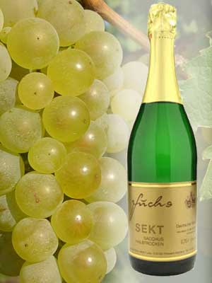 Bacchus Sekt halbtrocken – Traube + Flasche Bacchus Sekt halbtrocken – Traube + Flasche