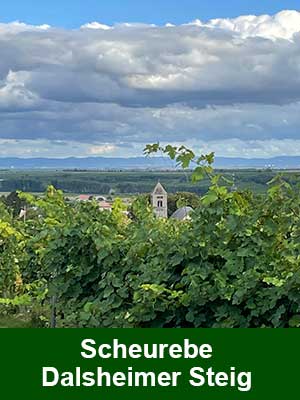 Scheurebe lieblich – Weinberge Scheurebe lieblich – Weinberge
