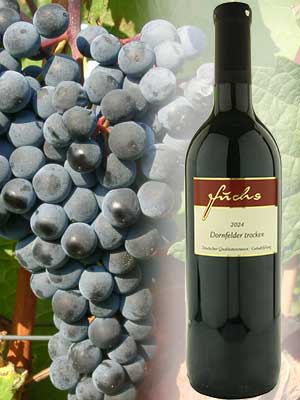 Dornfelder trocken – Traube + Flasche Dornfelder trocken – Traube + Flasche