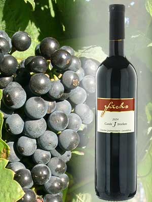 Fuchs Cuvée «J» trocken – Traube + Flasche Fuchs Cuvée «J» trocken – Traube + Flasche