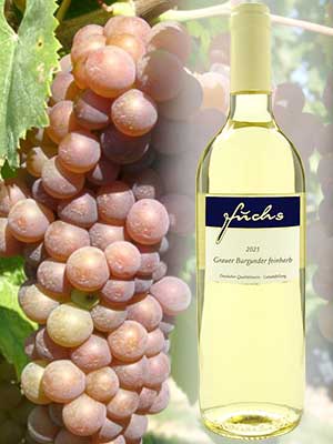 Grauer Burgunder feinherb – Traube + Flasche Grauer Burgunder feinherb – Traube + Flasche