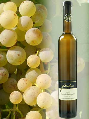 Huxelrebe Beerenauslese, ein edelsüßer Weißwein Huxelrebe Beerenauslese, ein edelsüßer Weißwein