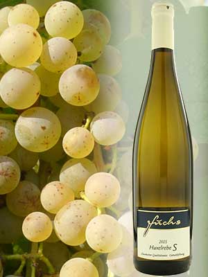Huxelrebe «S» süß – Traube + Flasche Huxelrebe «S» süß – Traube + Flasche