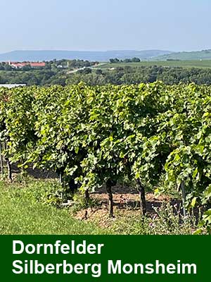 Dornfelder lieblich – Weinberge Dornfelder lieblich – Weinberge