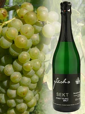 Pinot Blanc Sekt brut – Traube + Flasche Pinot Blanc Sekt brut – Traube + Flasche
