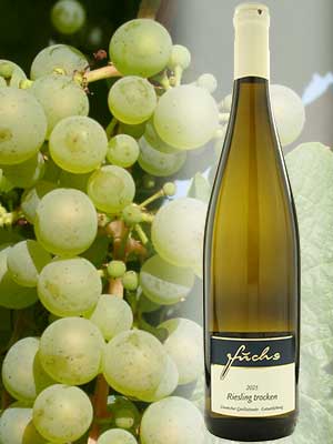 Klassischer Riesling-Weißwein Klassischer Riesling-Weißwein
