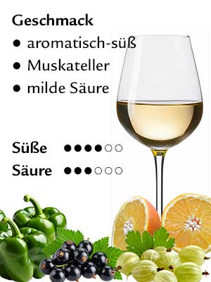 Sauvignon Blanc süß – Geschmack Sauvignon Blanc süß – Geschmack
