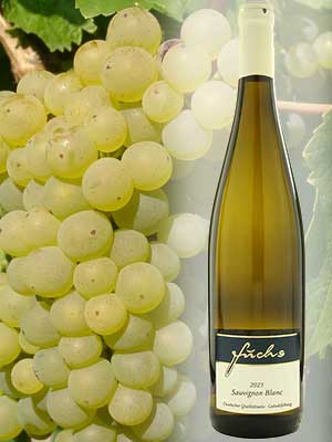 Klassischer Sauvignon Blanc-Weißwein Klassischer Sauvignon Blanc-Weißwein