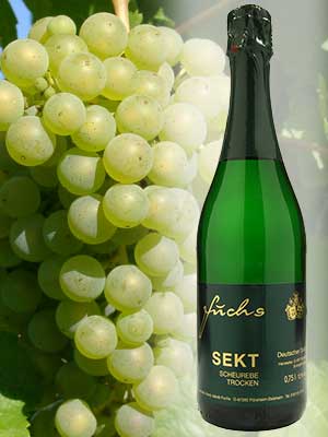 Scheurebe Sekt trocken – Traube + Flasche Scheurebe Sekt trocken – Traube + Flasche