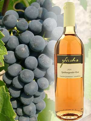 Spätburgunder Rosé lieblich – Traube + Flasche Spätburgunder Rosé lieblich – Traube + Flasche