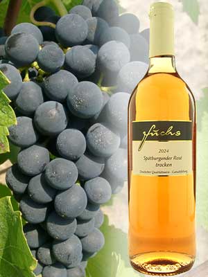 Klassischer Spätburgunder-Roséwein Klassischer Spätburgunder-Roséwein