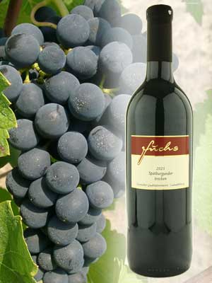Trockener Spätburgunder-Rotwein Trockener Spätburgunder-Rotwein