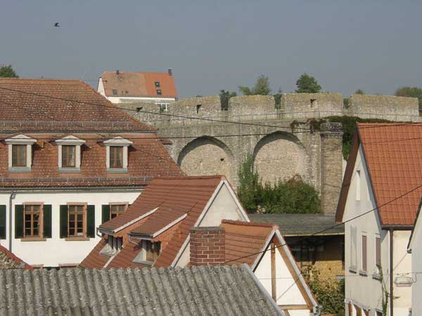 The historical centre of Dalsheim