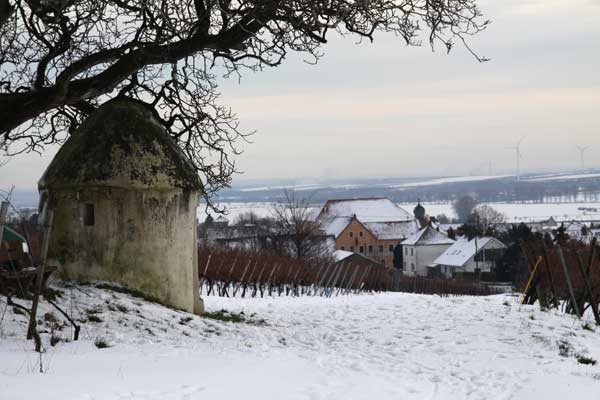 从土房看到的 Dalsheim 村庄和葡萄园的雪景。