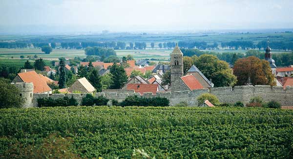 Blick auf Dalsheim und die Fleckenmauer