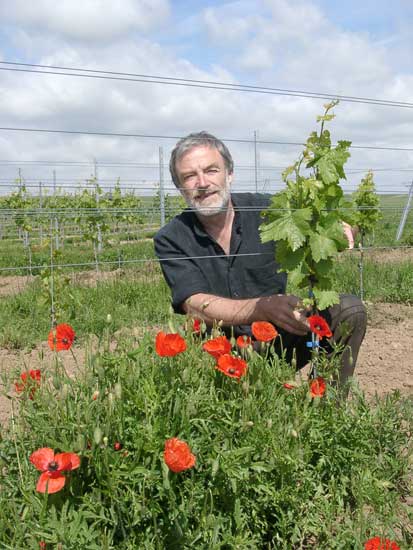 Hans-Jakob Fuchs checks a young Portugieser vine