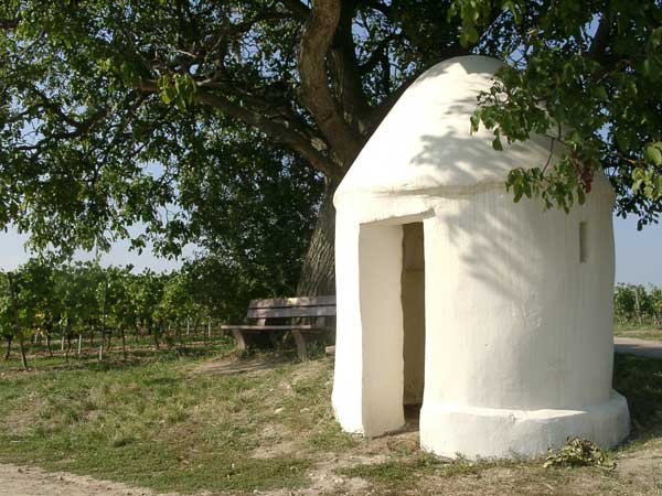 Small hut in the vineyards