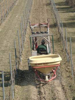 Düngung in den Weinbergen
