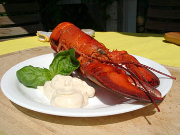 kreeft