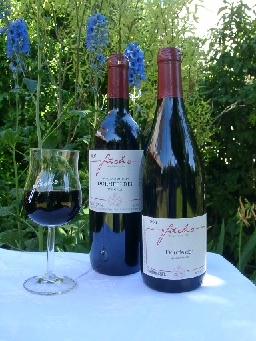 Rotweine aus dem Weingut Fuchs