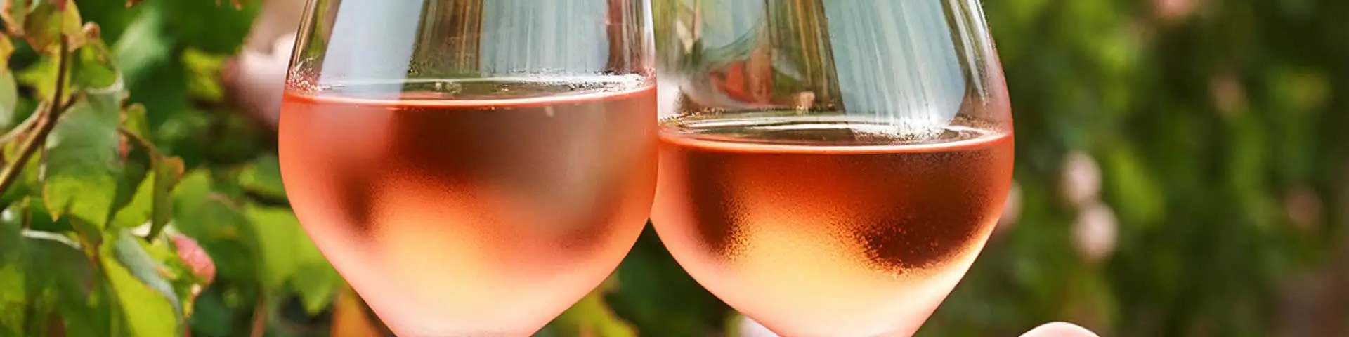Roséwijn, fruitig, fris + elegant