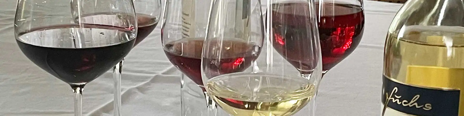Trockene Weine · fruchtig + elegant
