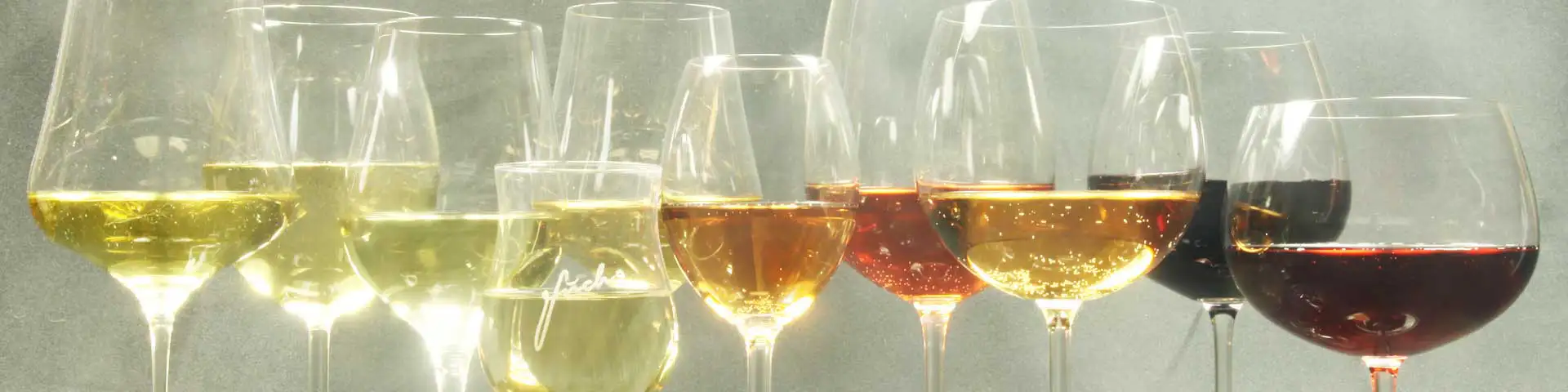 Wein-Probierpakete · Geschenkpakete Wein-Probierpakete · Geschenkpakete