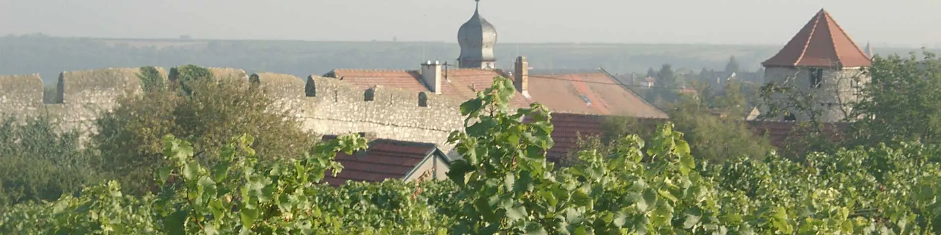 Weinbrand + Traubenlikör Weinbrand + Traubenlikör