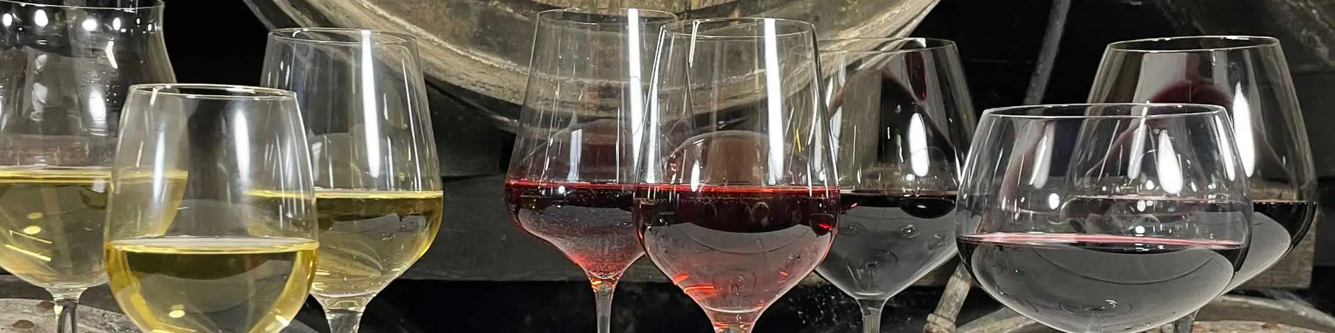Weißwein, Rosé + Rotwein direkt vom Weingut Fuchs