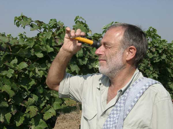 Measuring the ripeness by refractometer