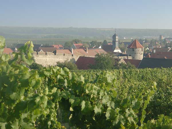 The village Dalsheim