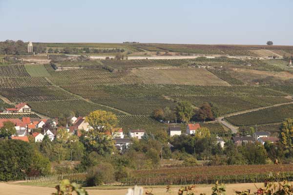 View of the vineyards in the valley of Zell