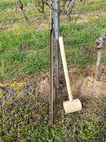 Werkzeug für die Bodenprobe im Weinberg
