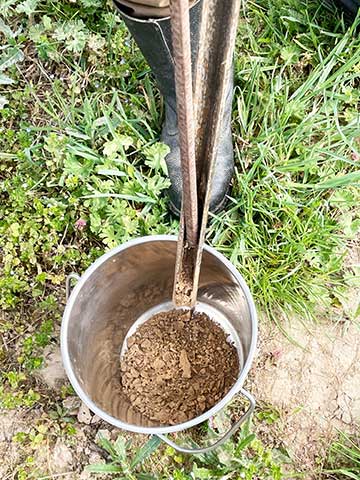 Bodenprobe im Weinberg