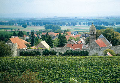 View over Dalsheim
