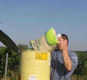 Gesteinsmehl gegen Wespenfraß im Weinbau