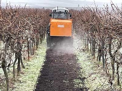 Der Trester wird in den Rebzeilen dünn ausgestreut Der Trester wird in den Rebzeilen dünn ausgestreut