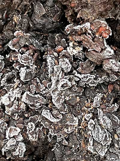 Trester ist wertvoll für die Humusbildung Trester ist wertvoll für die Humusbildung