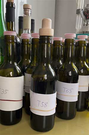 Vorbereitung zur Komposition einer Rotwein-Cuvée Vorbereitung zur Komposition einer Rotwein-Cuvée