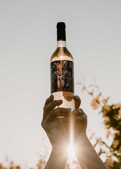 Goldmuskateller Fuchsetikett im Gegenlicht, Kundenfoto