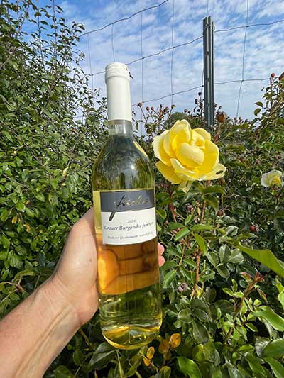 Grauburgunder feinherb im Garten von Kunden