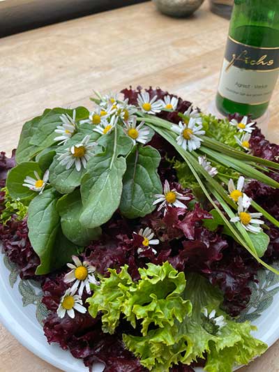 Bunter Salat mit Verjus, Kundenfoto