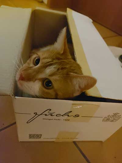 Weinkarton, Kundenfoto