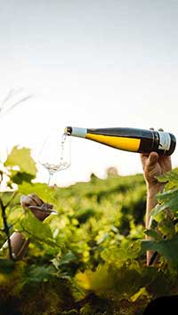 Kunde schenkt Bacchus ein