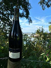 Regent am Dümmer See, Kundenfoto