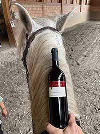 Süßer Spätburgunder Rotwein, Kundenfoto 