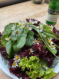 Bunter Salat mit Verjus, Kundenfoto