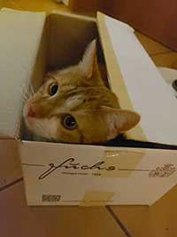 Weinkarton, Kundenfoto