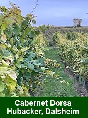 Fuchs Cuvée «J» trocken