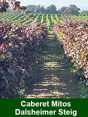 Fuchs Rotwein feinherb, histamingeprüft